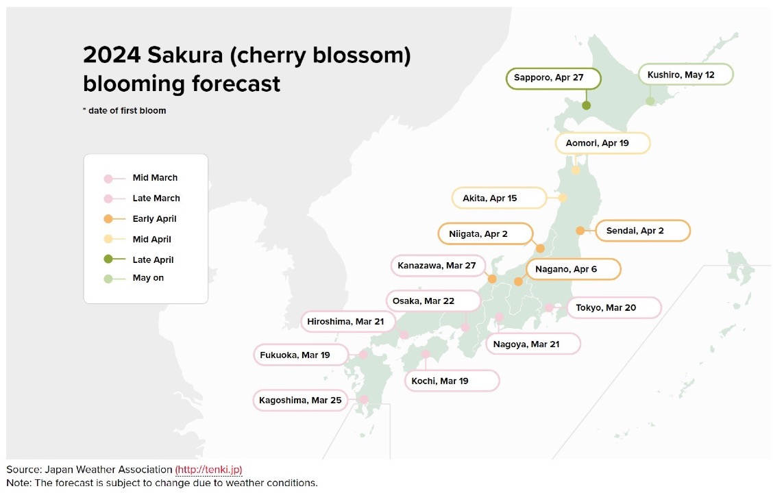 Spring in Japan: Cherry Blossom Forecast 2024